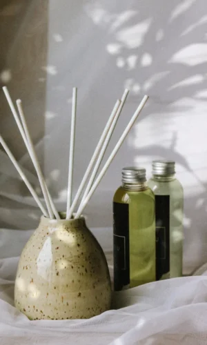 Vazelė | DOTTY + 300ml kvapo