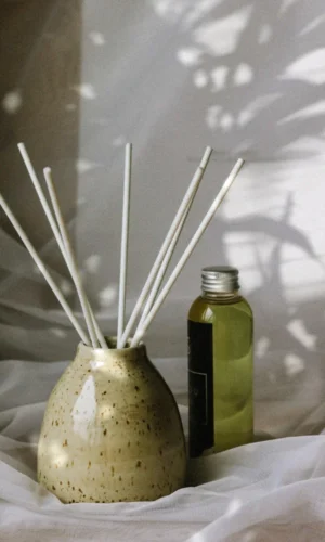 Vazelė | DOTTY + 150ml kvapo